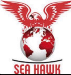Logo of Sandhu Sea Hawk Abroad Education for intelligent practice with AI